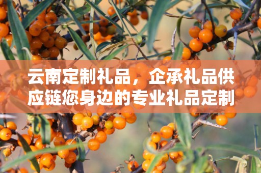 云南定制礼品，企承礼品供应链您身边的专业礼品定制公司